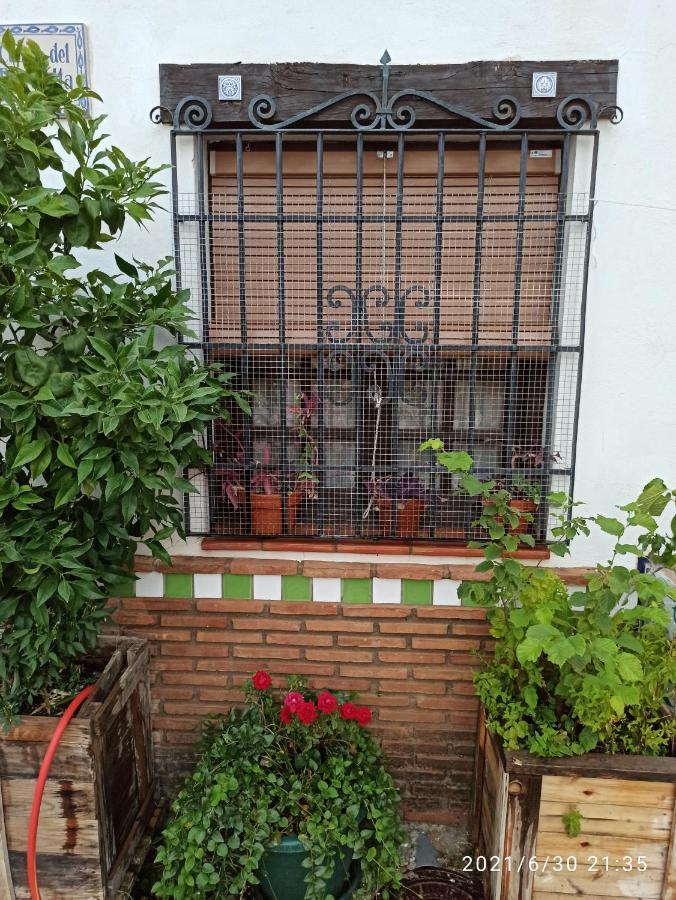 La Casita De Paco Albaicin Lejlighed Granada Eksteriør billede